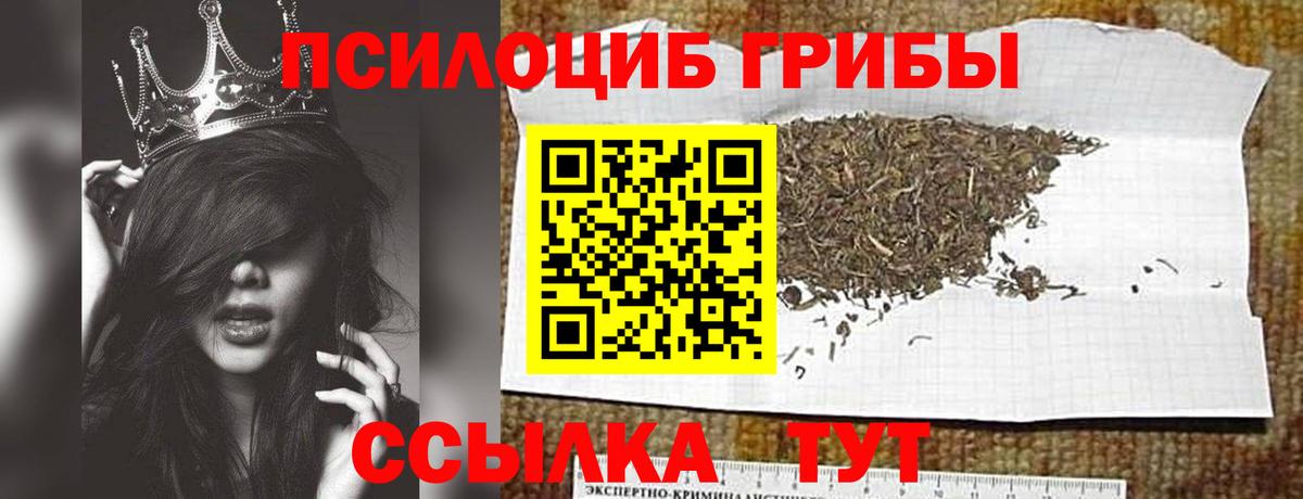 Псилоцибиновые грибы MAGIC MUSHROOMS  Вход с VPN  Красногорск 
